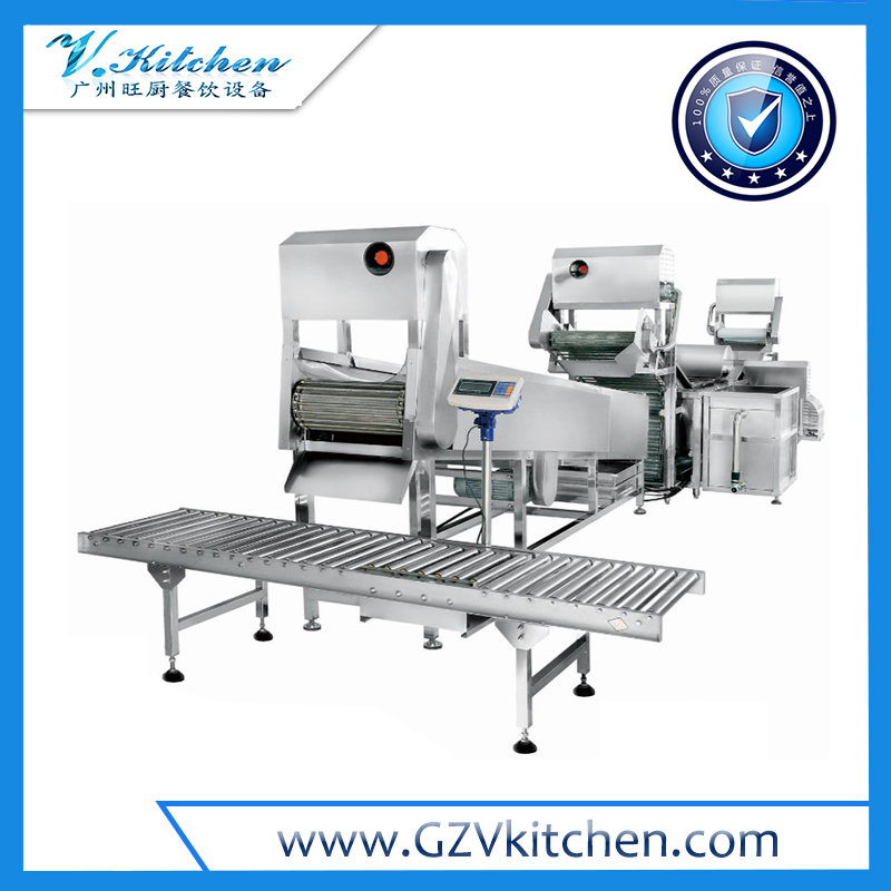 Automatic Consecutive Root Vegetable Processing Line
